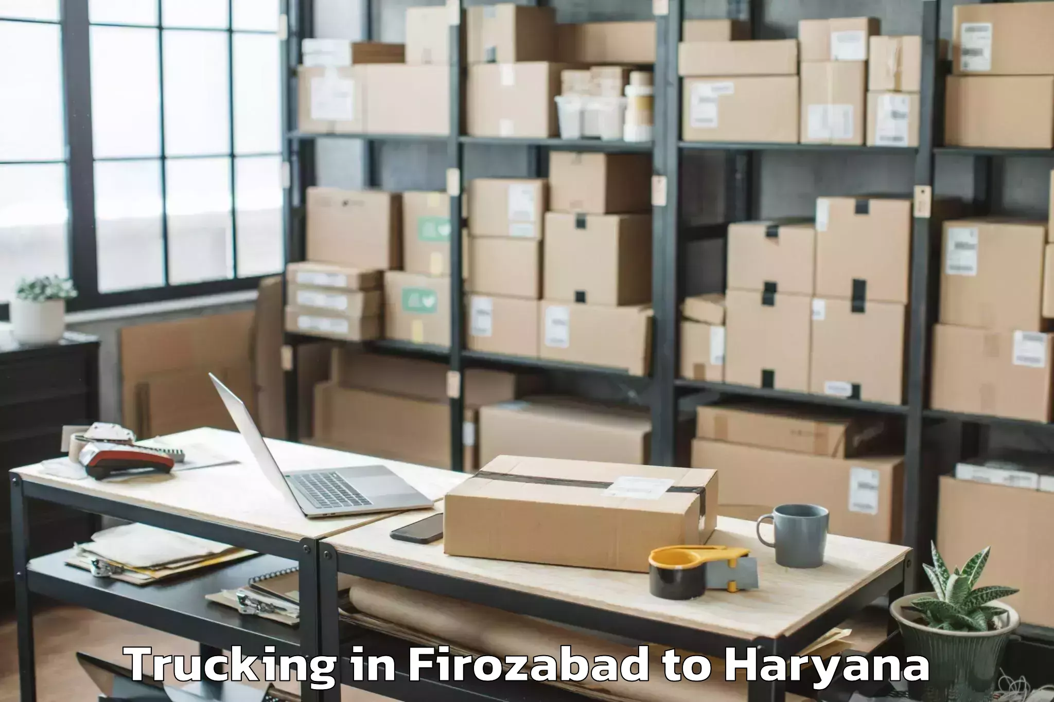 Book Firozabad to Uklana Trucking Online